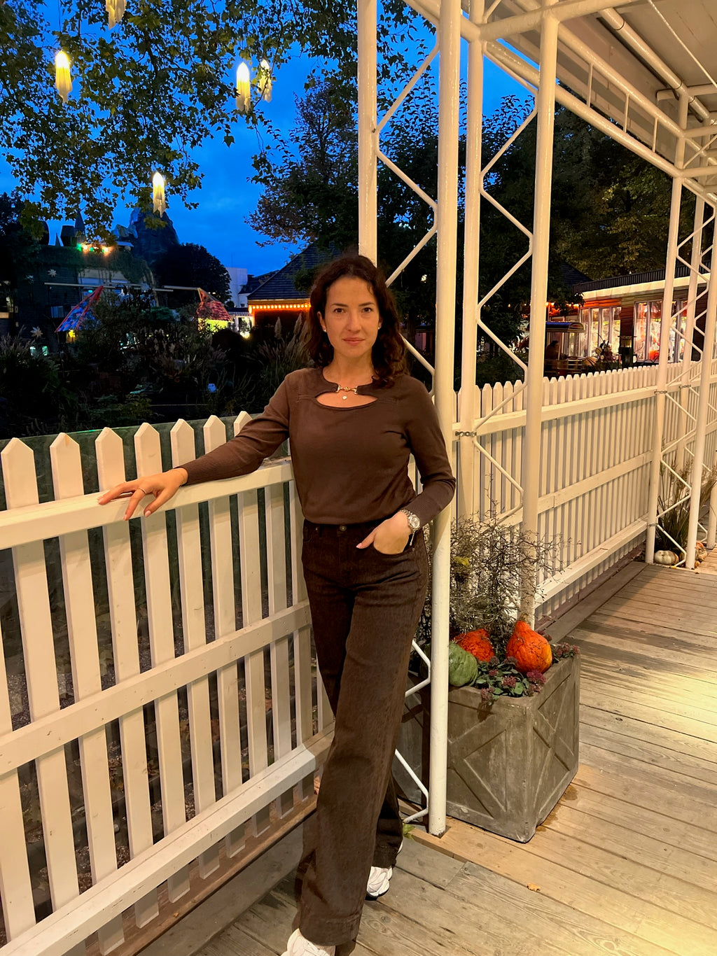 Maglioncino Park Marrone