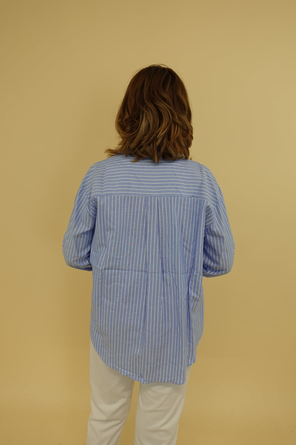 Camicia Bassotto Azzurra